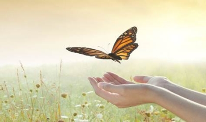 Tạo phước từ những điều đơn giản